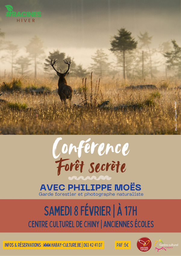 affiche-conference-web-copie