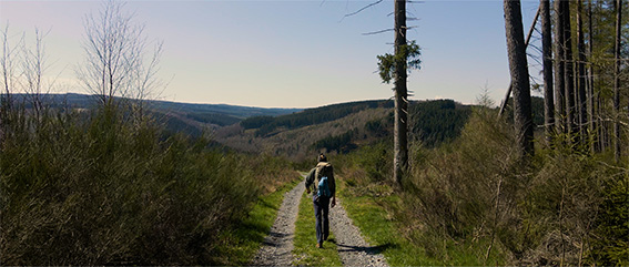 vers-compostelle-depuis-l-ardenne-72-dpi