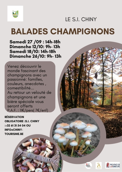 balades-champignons-4