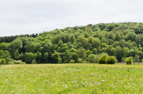 chiny foret - lieux à visiter
