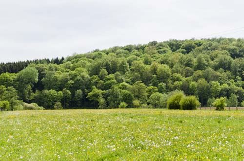 chiny foret - lieux à visiter